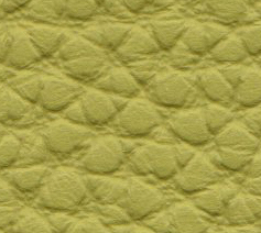 atlantic-545-yellow-green.jpg